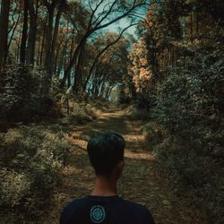 Rear view of man standing in forest