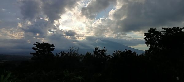 Low angle view of silhouette trees against sky during sunset