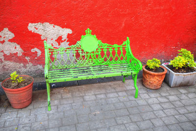 Potted plant on footpath against red wall