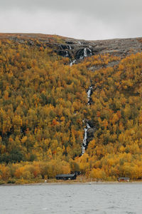 Scenic view of waterfall in the forrest against sky during autumn