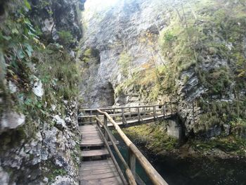 Footbridge leading towards trees