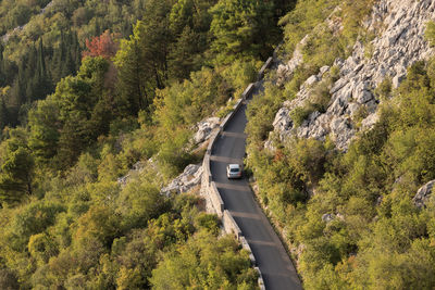 High angle view of road amidst trees in forest