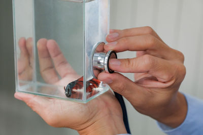 Close-up of hands working in glass