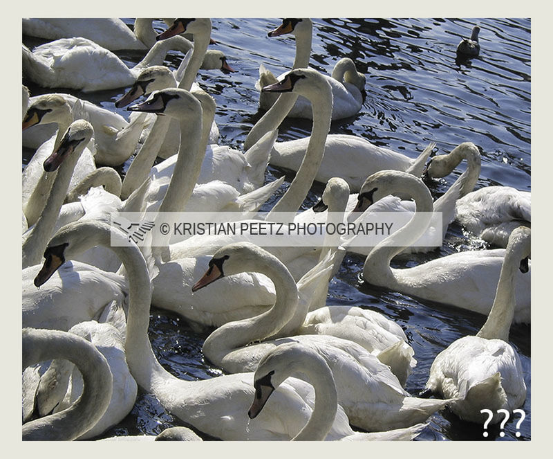 transfer print, auto post production filter, transportation, mode of transport, close-up, water, day, no people, snow, outdoors, metal, high angle view, winter, cold temperature, nautical vessel, white color, sunlight, nature, river, part of