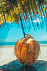 Close-up of a coconut fruit and a palm tree by sea against sky