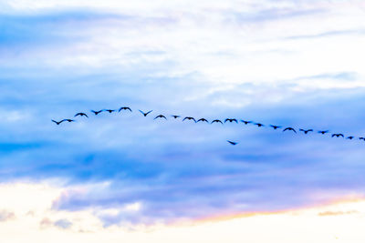 sky