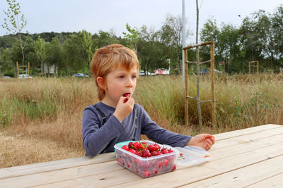 The blond boy takes a bite of his cherry and looks away in wonder. a   boy eats fruit outdoors. 