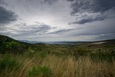 Scenic view of field against sky