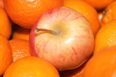 Close-up of pumpkins