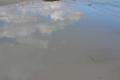 High angle view of birds in lake