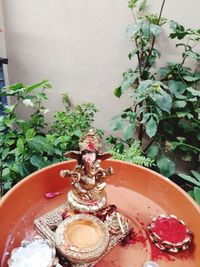 Close-up of potted plant on table