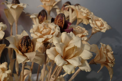 Close-up of white roses