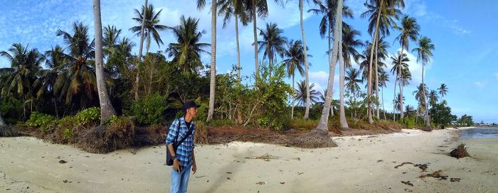 Panoramic view of man looking away while standing against palm trees at beach