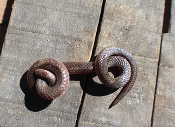 High angle view of rusty metal door