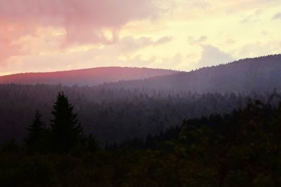 Scenic view of forest against sky at sunset