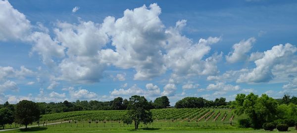 Panoramic view of landscape against sky