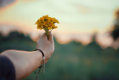 Close-up of cropped hand holding yellow flowers