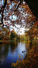 Scenic view of lake in forest during autumn