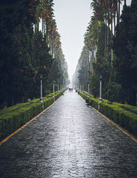 Street people photo rain