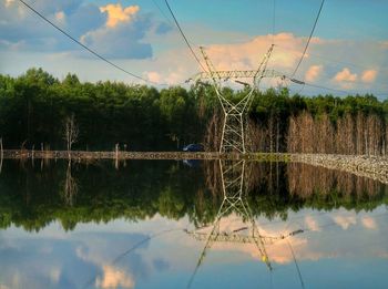 Reflection of trees in water