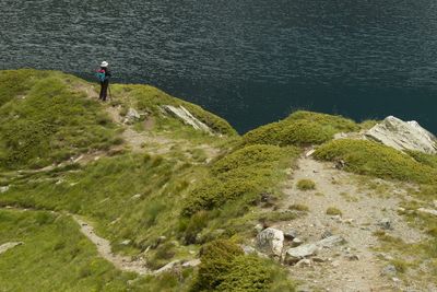 High angle view of woman amidst plants at sea shore