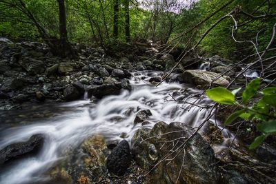 Stream flowing through rocks in forest