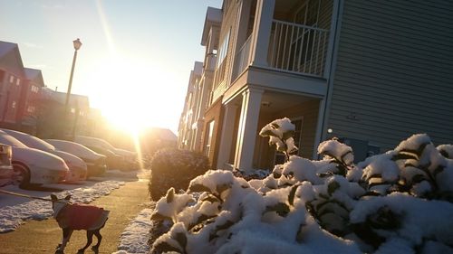 Panoramic view of snow in city against sky