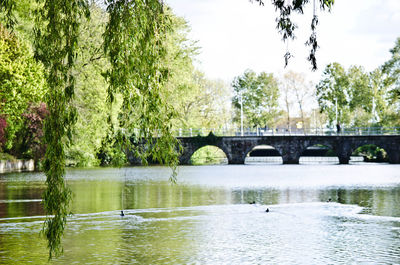 View of arch bridge over river