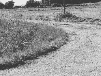 High angle view of trail on field