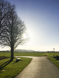 Road amidst bare trees against clear sky