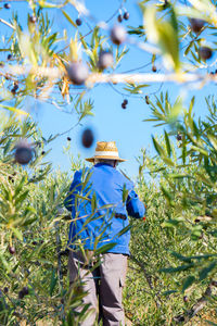 Rear view of man standing amidst plants