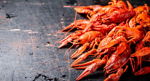 Close-up of seafood