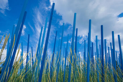 Low angle view of grass growing on field against sky