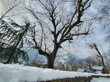 Bare trees on snow covered field against sky