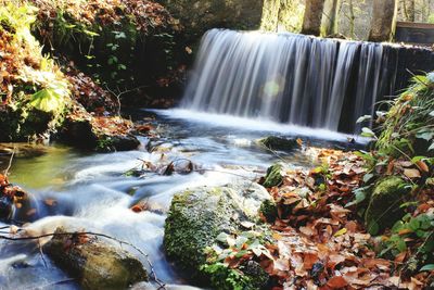 Scenic view of waterfall