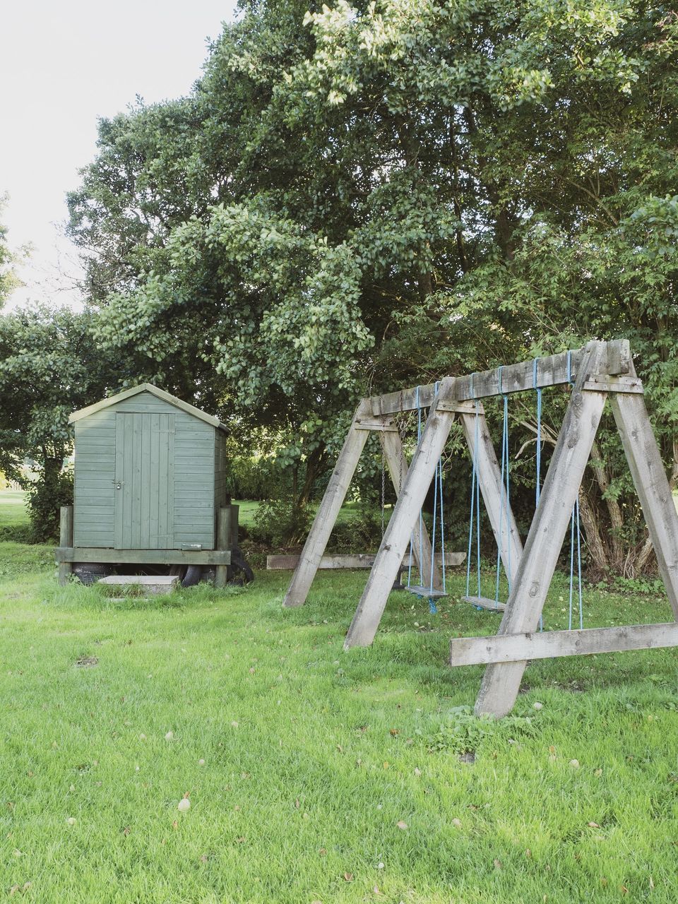 plant, tree, grass, green color, nature, day, land, field, no people, growth, architecture, built structure, outdoors, wood - material, playground, green, landscape, absence, empty, tranquility