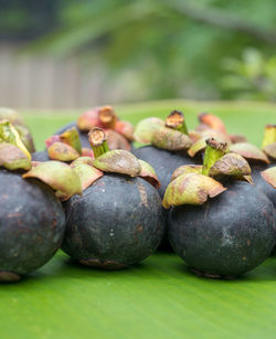 Close-up of fruits