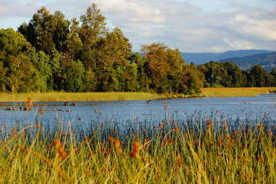 Scenic view of lake against sky