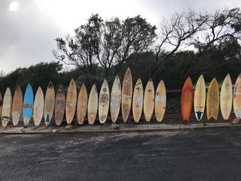 Panoramic shot of row of trees against sky