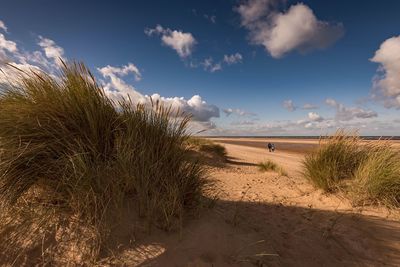 Scenic view of beach against sky