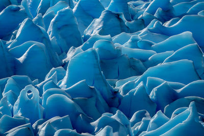 Full frame shot of purple flowers