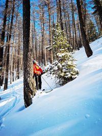 Person on snow covered land against trees in forest