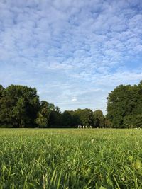 Grass field and trees against sky
