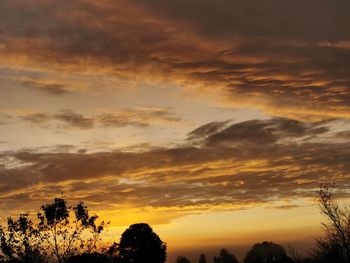 Low angle view of silhouette trees against dramatic sky