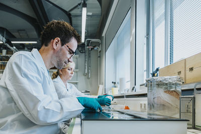 Scientist working on human brain slide while sitting by coworker at laboratory