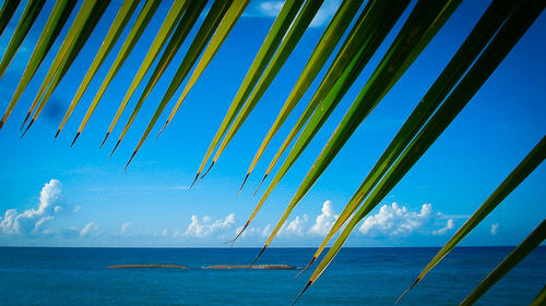 Scenic view of sea against blue sky