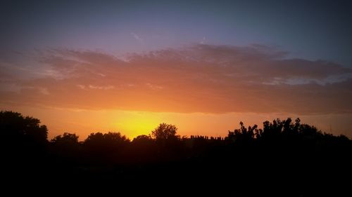 Silhouette of trees at sunset