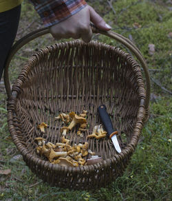 Close-up of man holding basket in field
