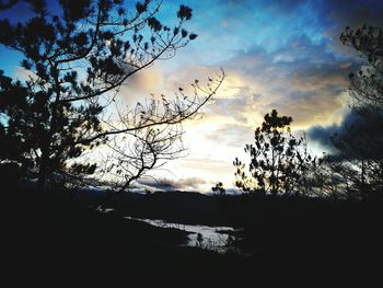 Silhouette of trees against cloudy sky