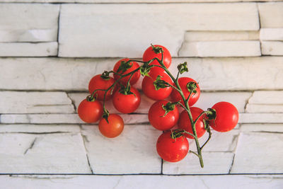 Close-up of red berries growing on plant